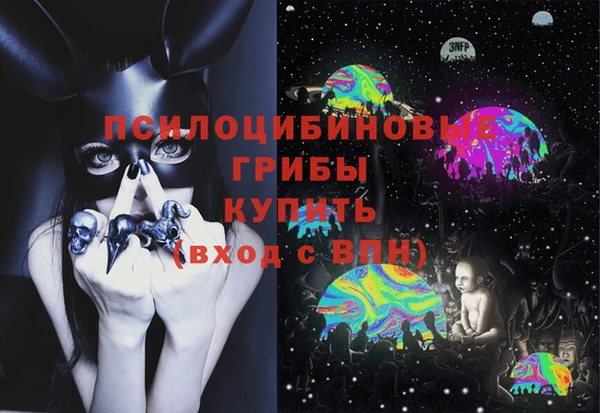 прущие крисы Белокуриха