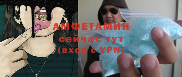 прущие грибы Беломорск