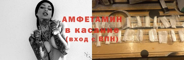 прущие грибы Беломорск