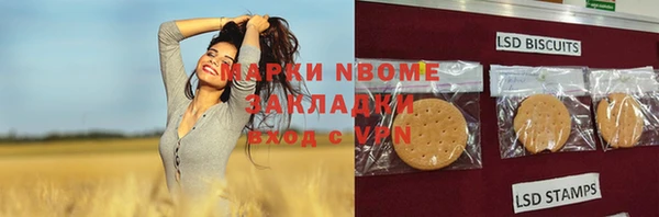 прущие грибы Беломорск