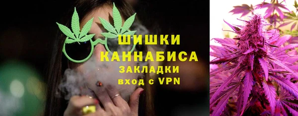 прущие грибы Беломорск
