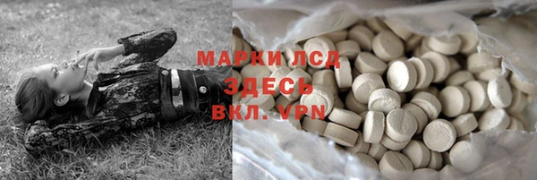 прущие грибы Беломорск