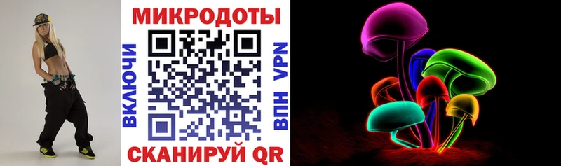 Галлюциногенные грибы Psilocybine cubensis  Окуловка 